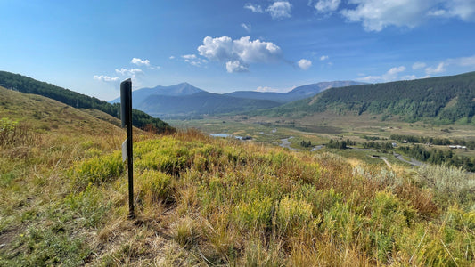 Lupine Trail
